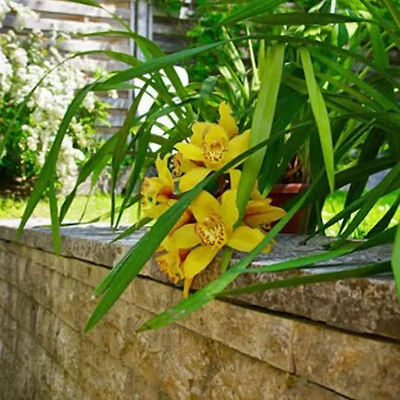 Alpenblick Garni Отель Иберлинген